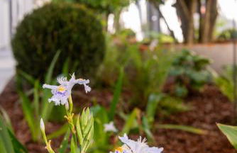 Le Stanze di Gianmarmo - Galleria 41037 - Photo 14