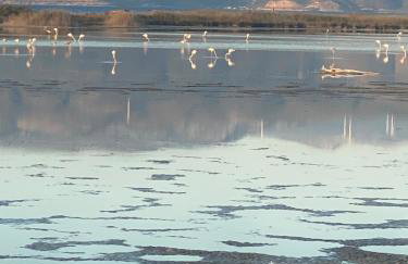 Gianna’s apartment central Aigio Cozy and Shining - Foto 55