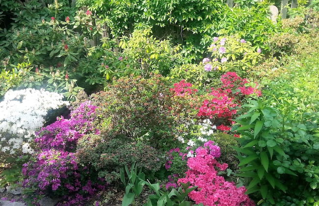 Apartment Under Cedar - Foto 27