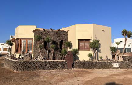 Flor de Cactus, La Graciosa - Foto 19