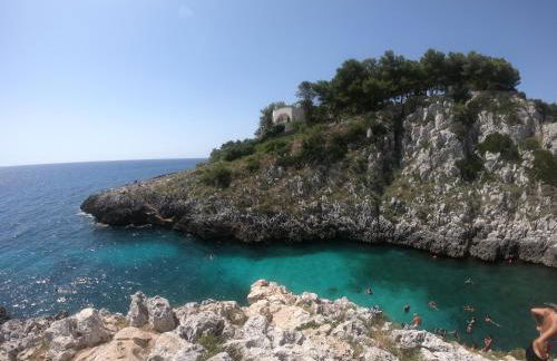 Azienda Agrituristica B&B La Torre - Photo 17