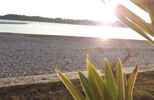 Bright & Cozy Medulin apartments - Foto 37