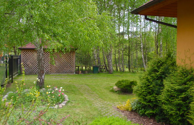 Borowikowa - Foto 15