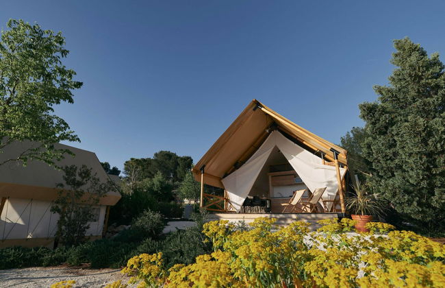 2 bedroom House in IJhorst with swimming pool and terrace - Photo 6