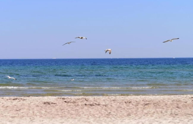 Spacious Bungalow near Sea in Grundshagen - Foto 23