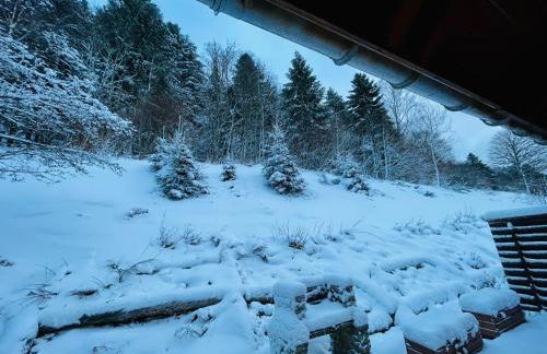 Chalet Des Feignes - Photo 49