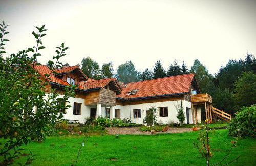 Forreset - leśny reset - Photo 1