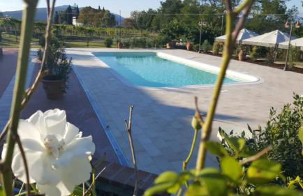 Agriturismo Ai Mandrioli - Foto 13