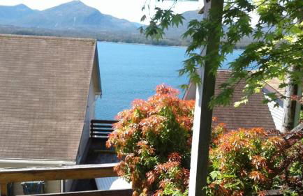 Hummingbird downtown water view apartment - Foto 1