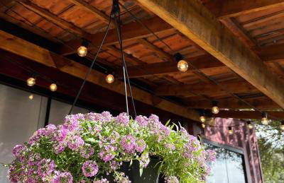 Recanto das Gralhas - Foto 8