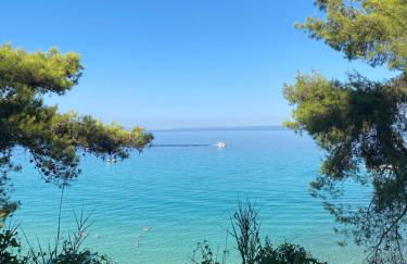 Vereniki 1 - Foto 39