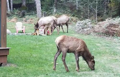 Cozy Studio Apartment - Foto 15