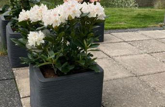 Ferienwohnung Stremme - Foto 21