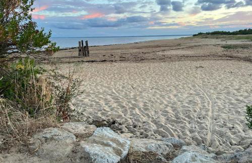 Climatisation, Piscine chauffée, Pétanque, Calme sur le Bassin d'Arcachon - Photo 20