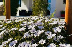 MENTIROSANATA - Foto 62