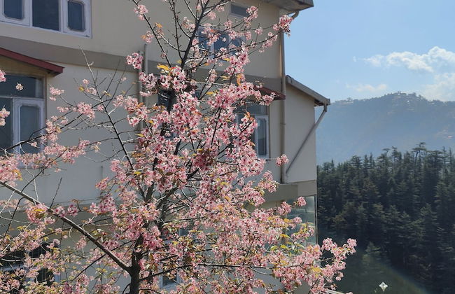 Vatsalyam Homestay - Foto 30