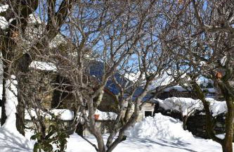 Apartamentos Deth Camin Reiau - Photo 19