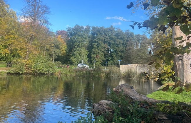 Moonstone House in Thetford - Foto 22