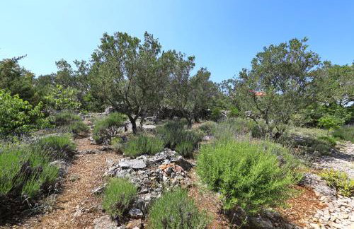 Apartment Justina - Photo 18