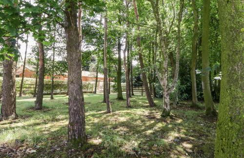 Washburn Lodge - Photo 25