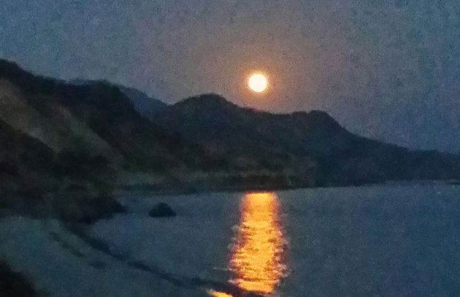 Exclusive Cottage in S West Crete in a Quiet Olive Grove Near the sea - Foto 16