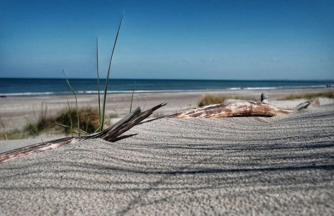 Reihenhaus mit Wlan in Buchholz am Muritzsee - Foto 50