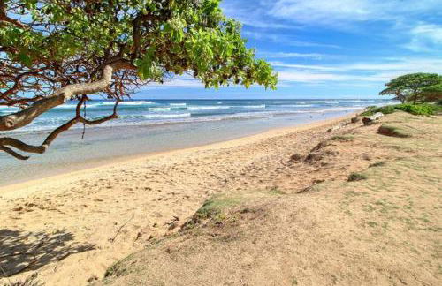 Mountain View Double Bed Room, Beachfront Resort, Lanai, AC, Pool, Restaurant, Gym, Spa - Foto 68