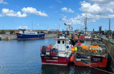 5 Beechcroft Cottage - Seahouses Northumberland - Photo 31