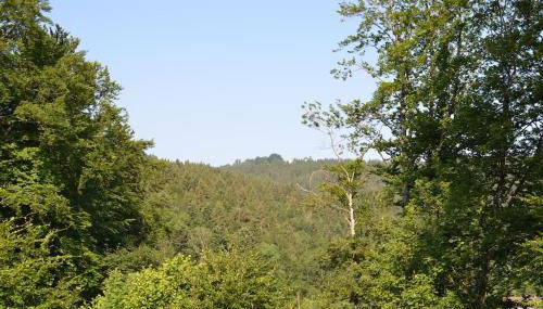 AlpenGlück – **** Ferienwohnung - Foto 3