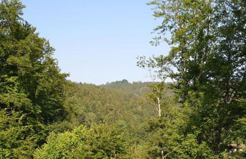 AlpenGlück – **** Ferienwohnung - Foto 3