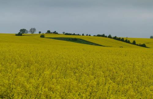 Leuchtturm 10 - Foto 61