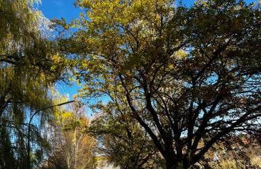 Ferienwohnung I Beck-Bräu nahe Bamberg - Foto 29