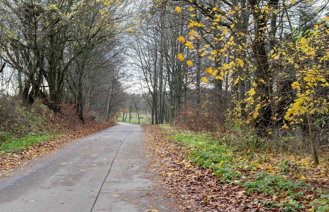 Finnhutte in Trusetal Near Waterfall - Foto 31