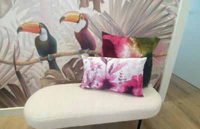 Los tucanes - Photo 9