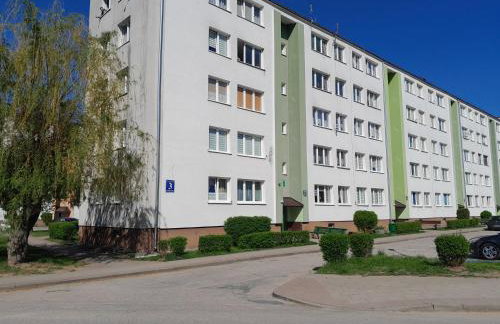 Apartament Mech i Paproć - Foto 17