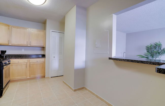 Modern Apartment with Top Amenities - Photo 13