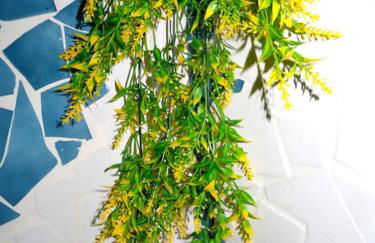 Terres de l'Ebre experience - Foto 20