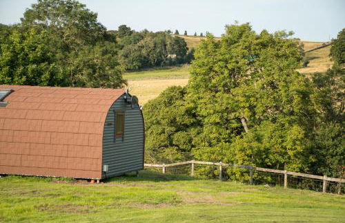 Wild Northumberland Glamping - Foto 74