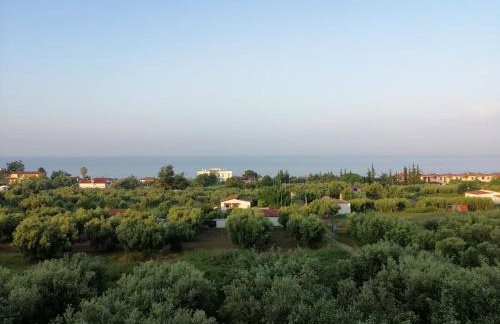 Herodicus villa - Foto 3