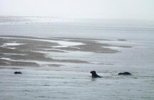 Maison charmante à Tours-en-Vimeu avec grand jardin clos - Foto 31
