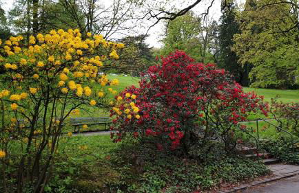 Family Suites & Parking - Foto 36