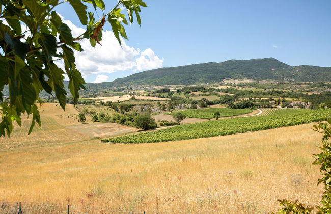 Les Hauts de Jallia - Foto 25