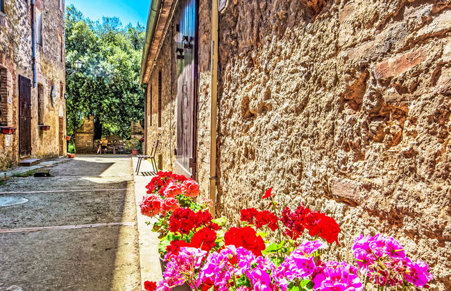 Il Ligustro - Foto 24