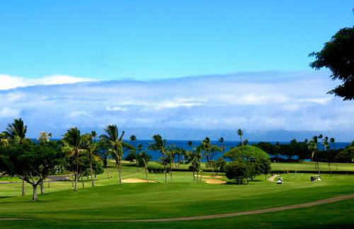 Puamana 80-4 Superior Garden View - Foto 25