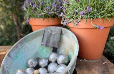 Villa provençale, Golfe Saint Tropez, Climatisée 12 pers, 4 suites, Piscine chauffée, Hammam, Spa, Billard, Pétanque, Wifi professionnel haut débit - Foto 18