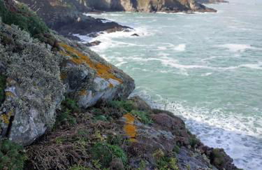 Maison cosy vue mer à Guimaëc - Foto 28