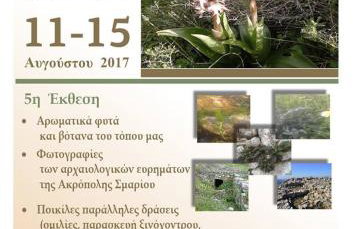 Creta guesthouse ARXONTIKO! - Foto 71