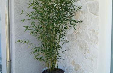 Casa vacanze il sorriso di Eva - Photo 18