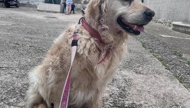 Holiday Apartment - Foto 4