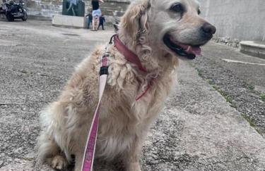 Holiday Apartment - Foto 4